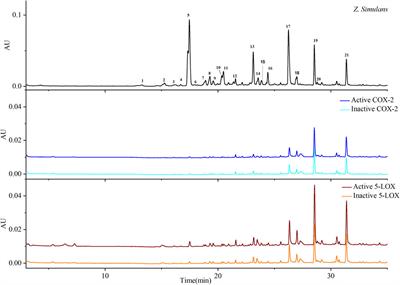 Dual COX-2/5-LOX inhibitors from Zanthoxylum simulans inhibit gastric cancer cells by cross-mediating thyroid, estrogen, and oxytocin signaling pathways